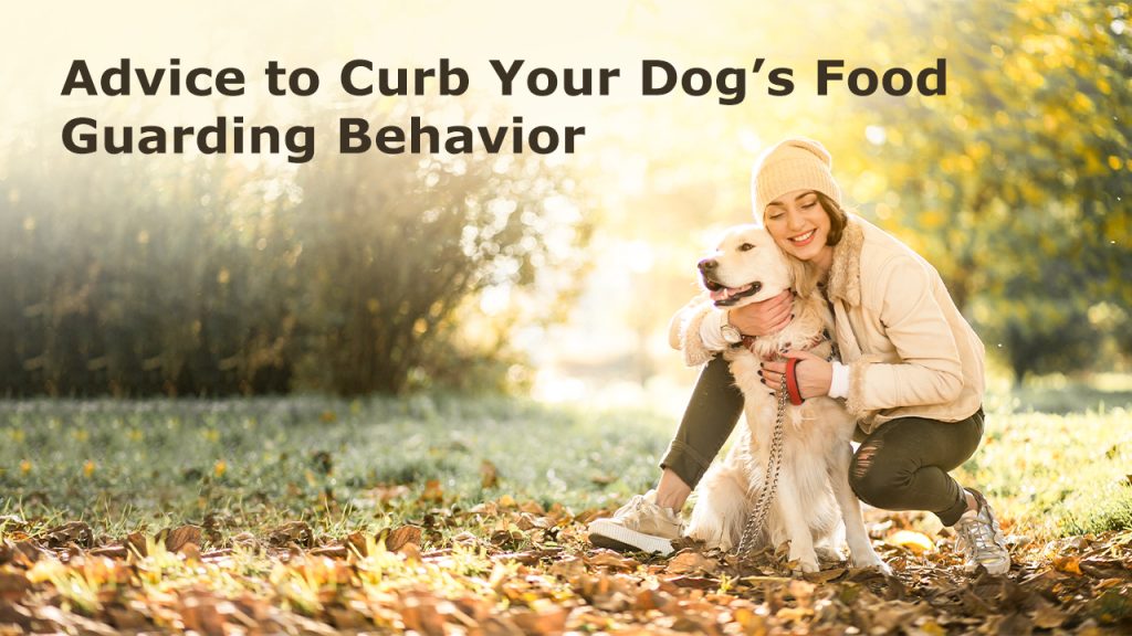 Advice to Curb Your Dog’s Food Guarding Behavior