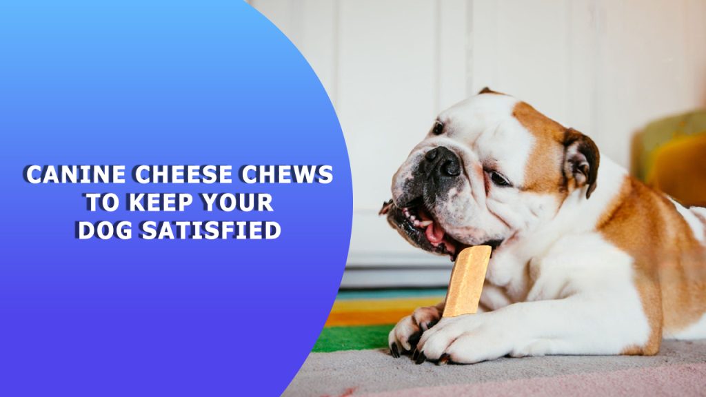 Canine Cheese Chews To Keep Your Dog Satisfied