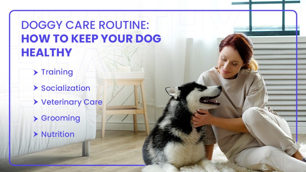 Doggy Care Routine: How to Keep Your Dog Healthy
