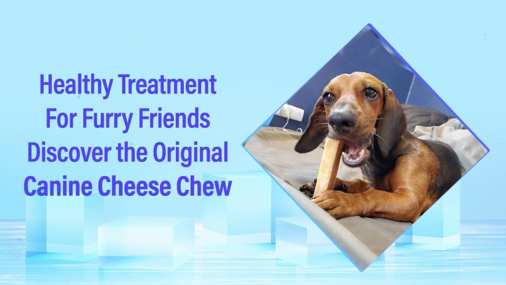 Healthy Treats For Furry Friends – Discover the Original Canine Cheese Chew