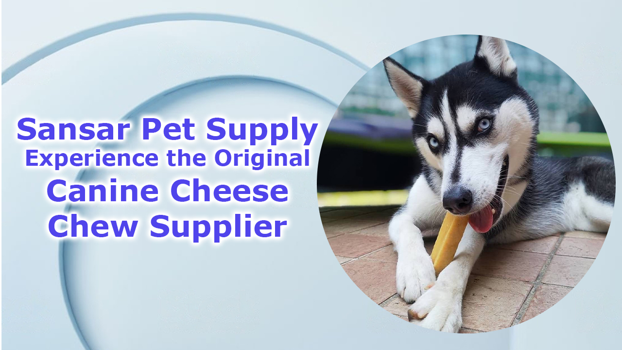 Sansar-Pet-Supply-Experience-the-Original-Canine-Cheese-Chew-Supplier