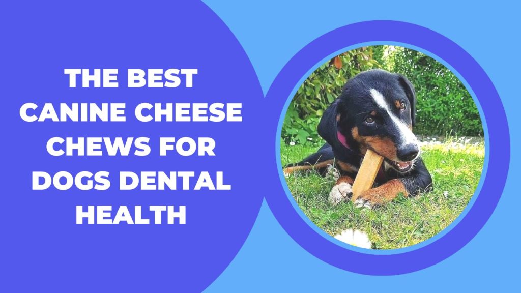 The Best Canine Cheese Chews for Dogs Dental Health