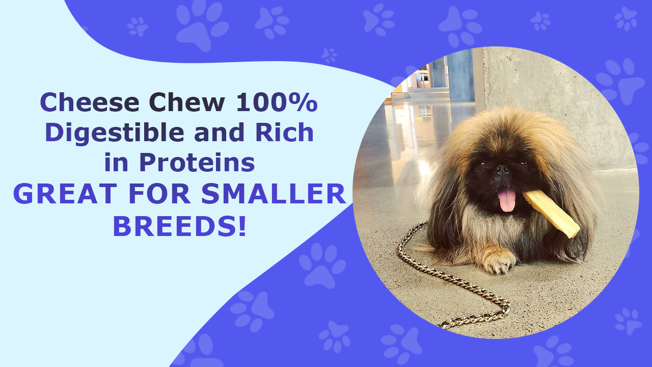 Cheese Chew 100% Digestible and Rich in Proteins – Great For Smaller Breeds!