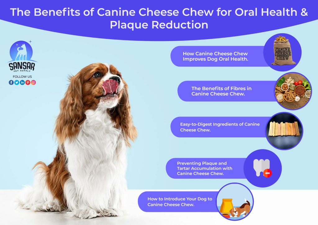 The Benefits of Canine Cheese Chew for Oral Health & Plaque Reduction