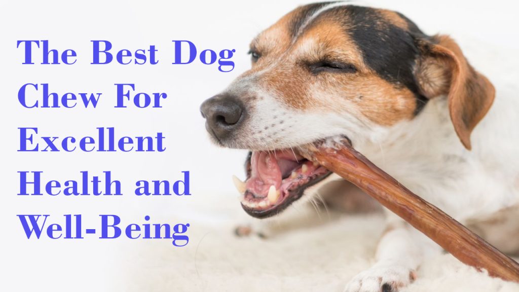 <strong>The Best Dog Chew For Excellent Health and Well-Being</strong>