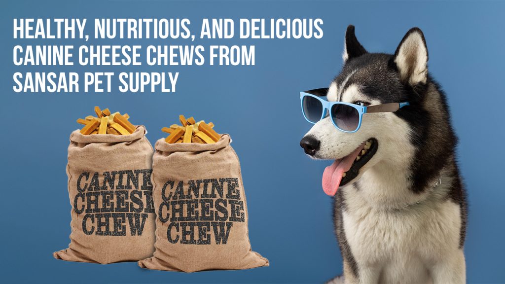<strong>Healthy, Nutritious, and Delicious Canine Cheese Chews From Sansar Pet Supply</strong>