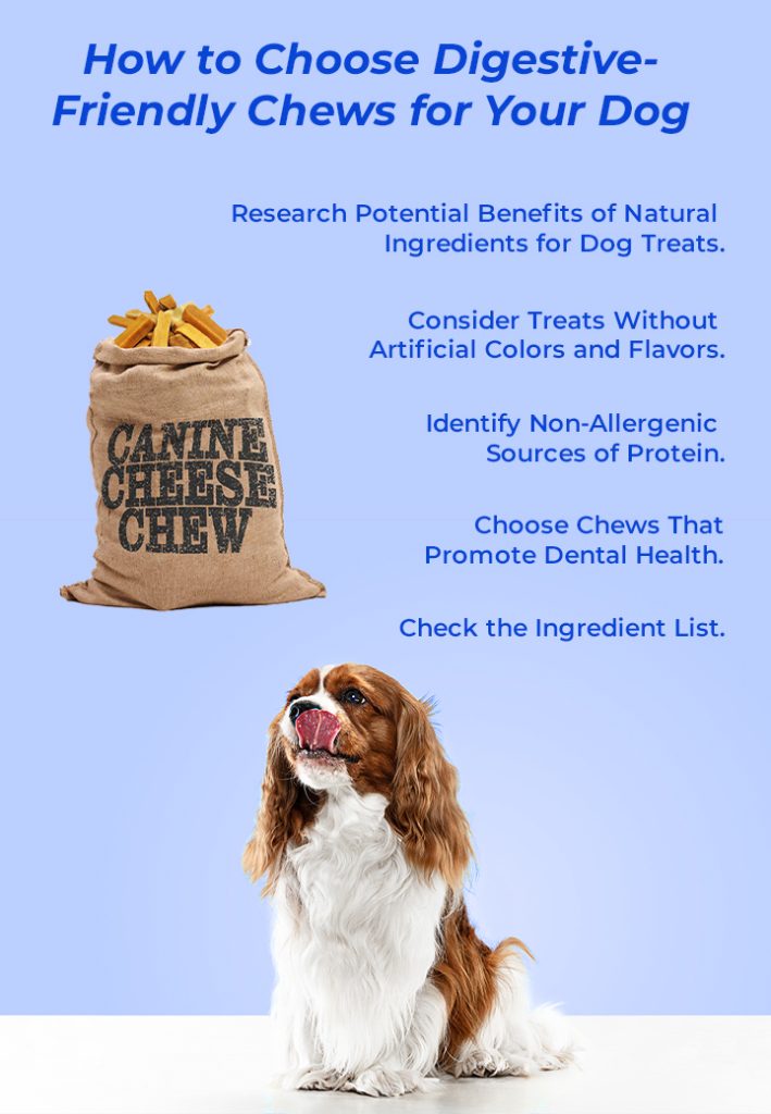 How to Choose Digestive-Friendly Chews for Your Dog 