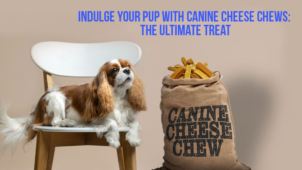 <strong>Indulge Your Pup with Canine Cheese Chews: The Ultimate Treat</strong>