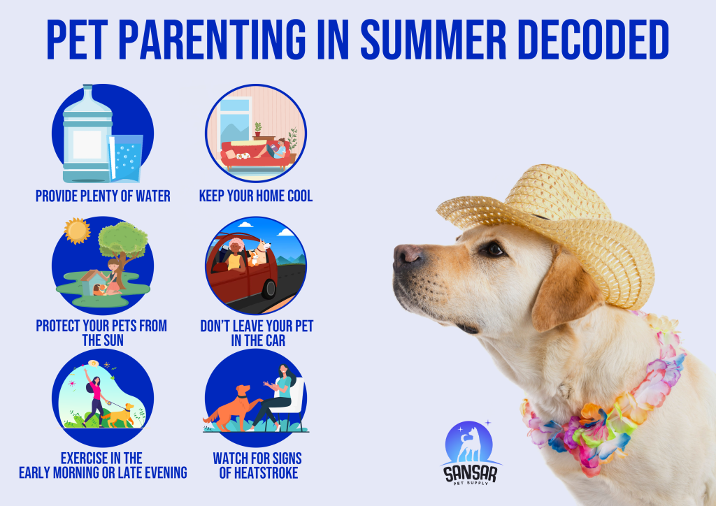 Pet Parenting In Summer Decoded