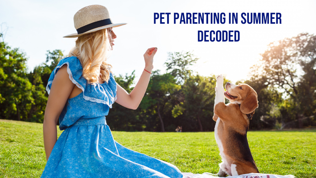 Pet Parenting In Summer Decoded