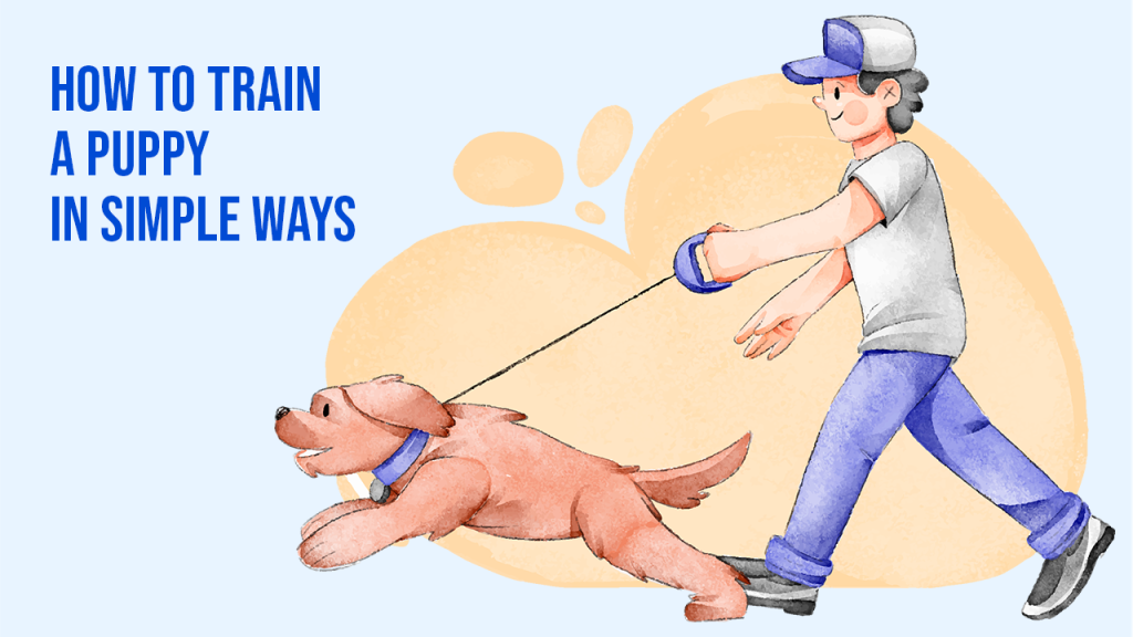 How To Train a Puppy in Simple Ways
