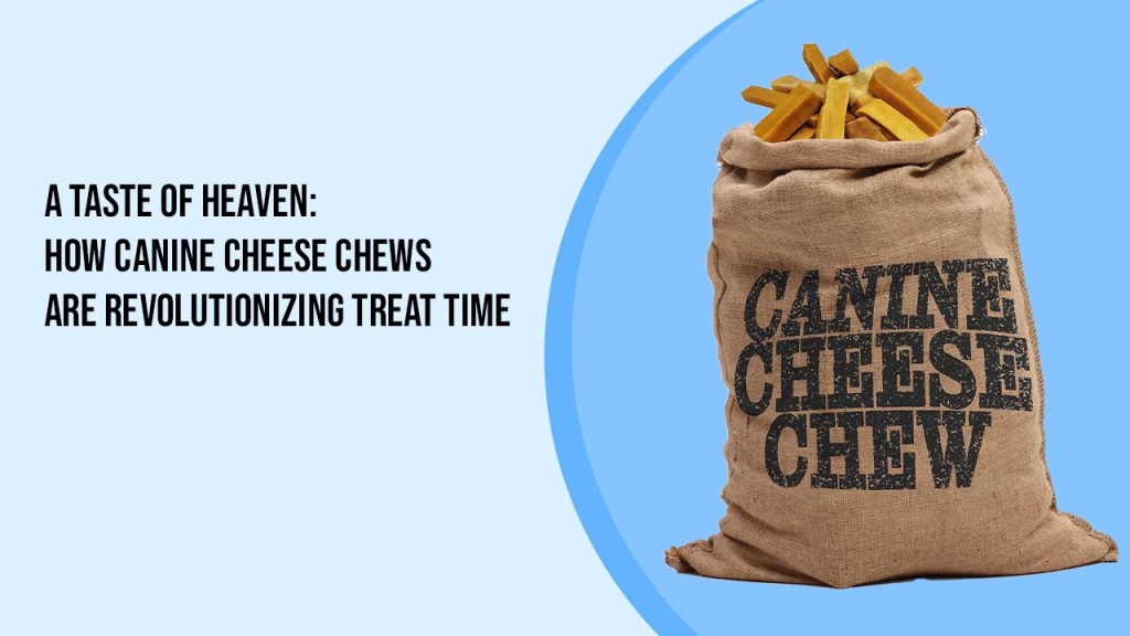 A Taste of Heaven: How Canine Cheese Chews Are Revolutionizing Treat Time