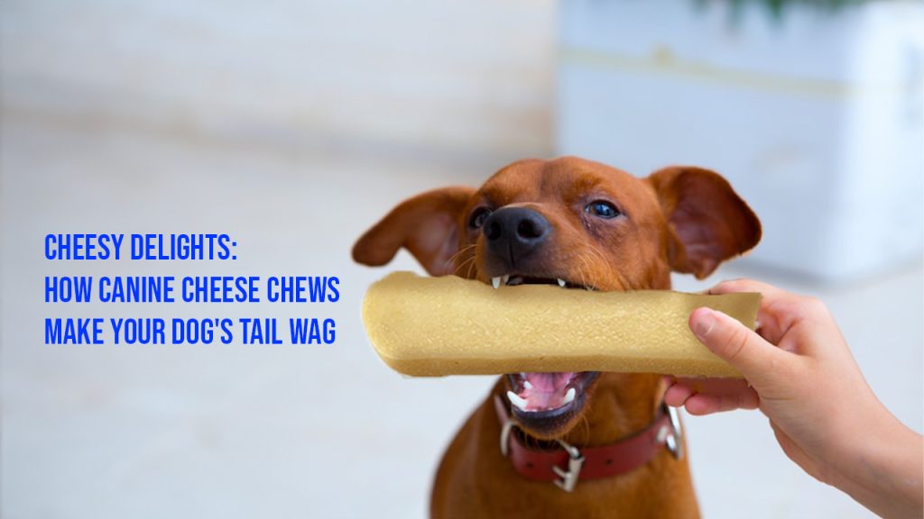 Cheesy Delights: How Canine Cheese Chews Make Your Dog’s Tail Wag