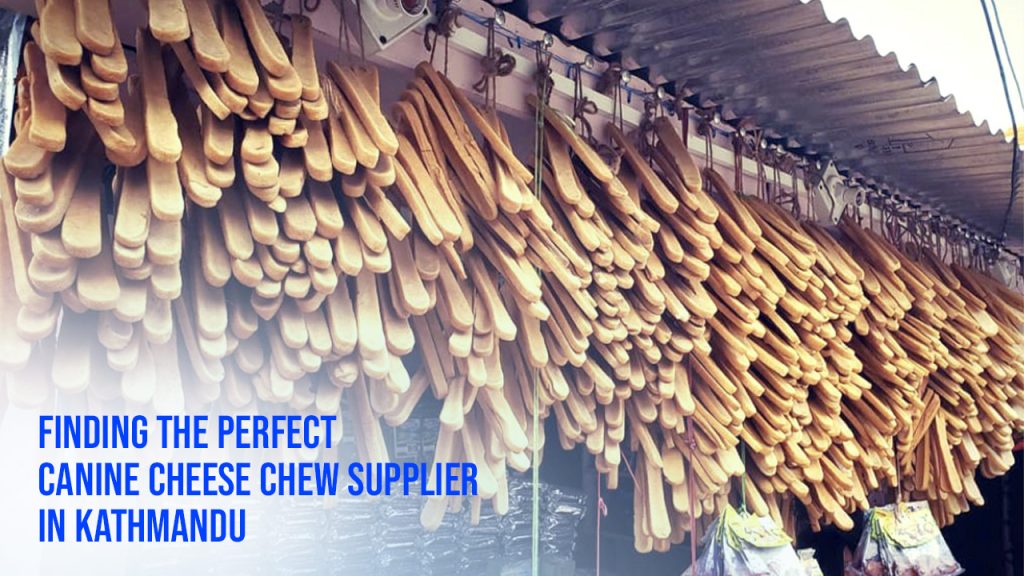 Finding the Perfect Canine Cheese Chew Supplier in Kathmandu