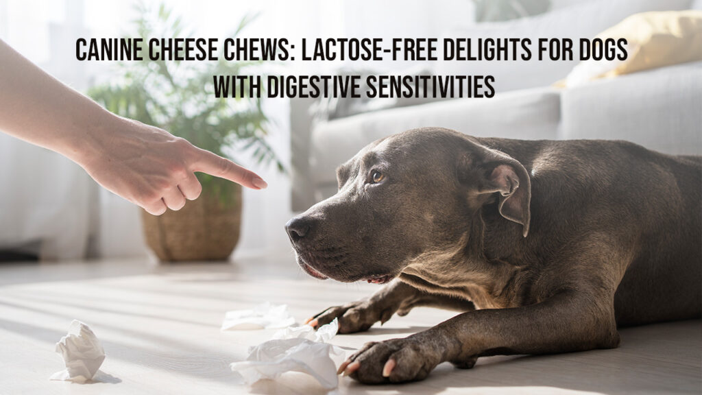 Canine Cheese Chews: Lactose-Free Delights for Dogs with Digestive Sensitivities