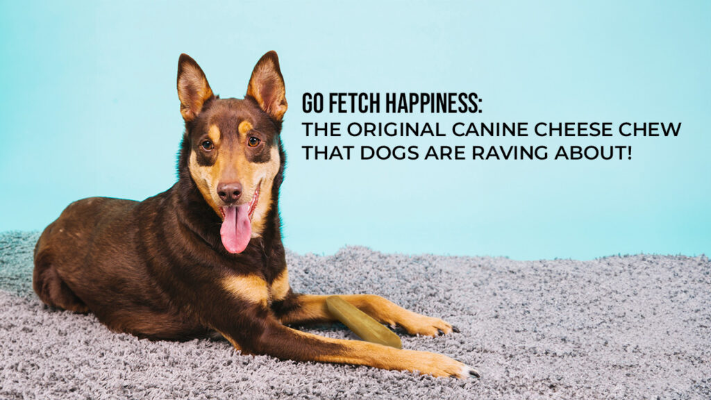 Go Fetch Happiness: The Original Canine Cheese Chew that Dogs Are Raving About!