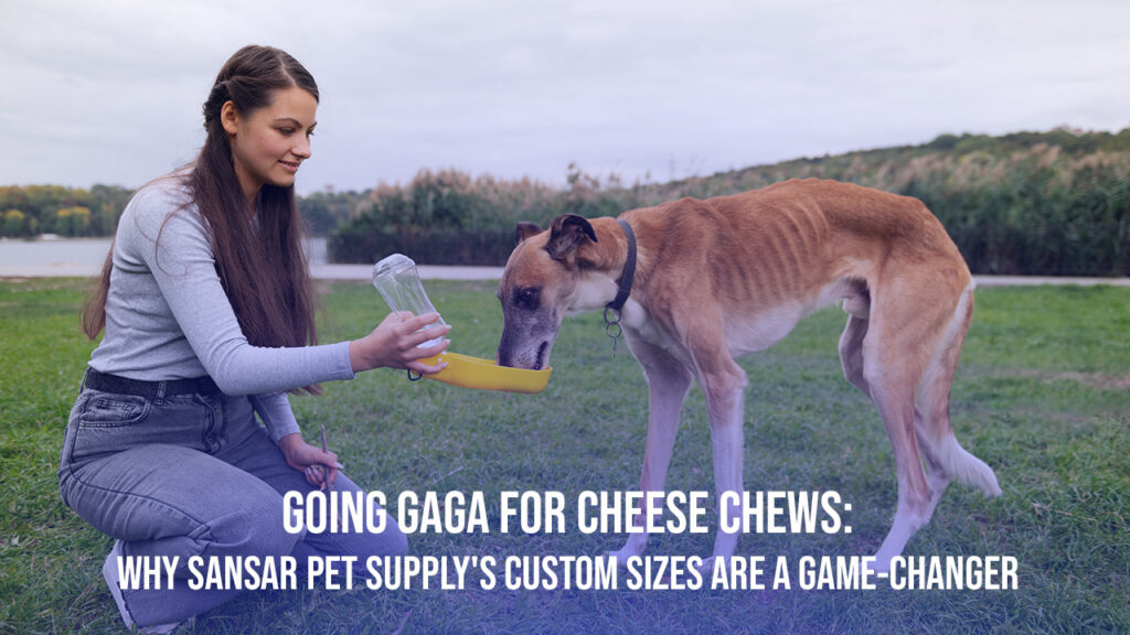 Going Gaga for Cheese Chews: Why Sansar Pet Supply’s Custom Sizes Are a Game-Changer