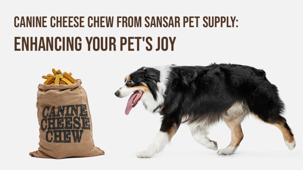 Canine Cheese Chew from Sansar Pet Supply: Enhancing Your Pet’s Joy