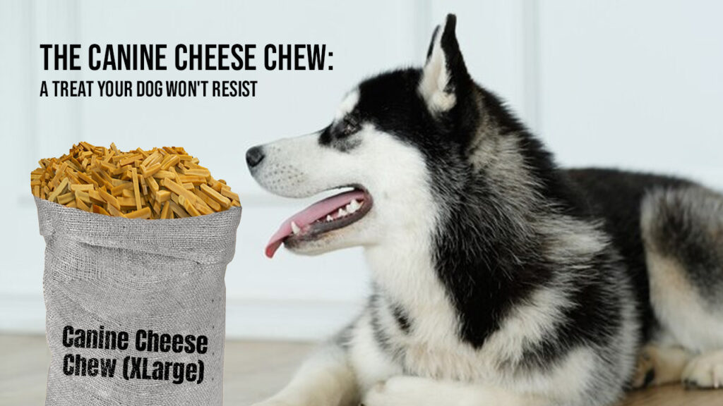 The Canine Cheese Chew: A Treat Your Dog Won’t Resist