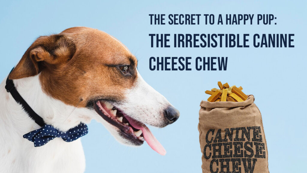 The Secret to a Happy Pup: The Irresistible Canine Cheese Chew