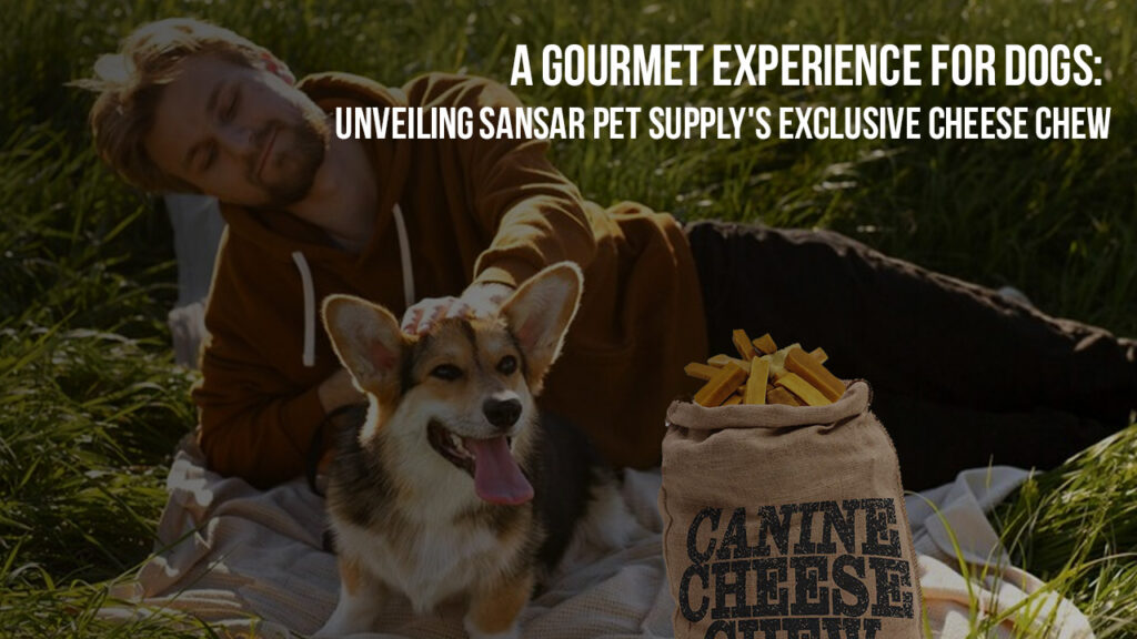 A Gourmet Experience for Dogs: Unveiling Sansar Pet Supply’s Exclusive Cheese Chew