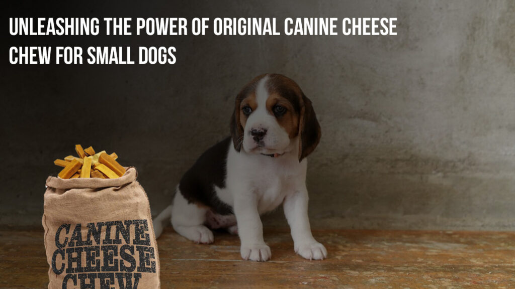 Unleashing the Power of Original Canine Cheese Chew for Small Dogs