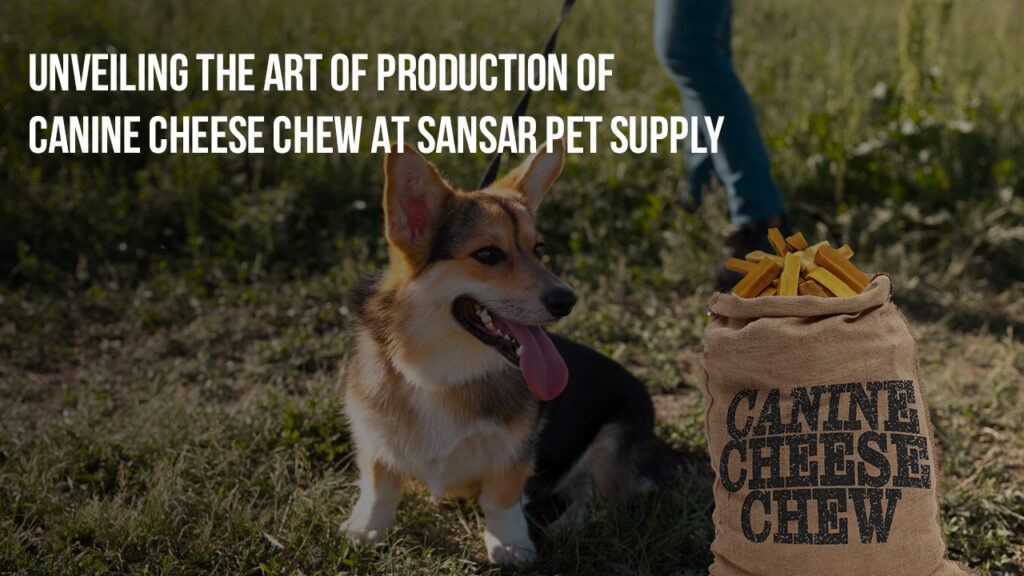 Unveiling the Art of PRODUCTION of Canine Cheese Chew at Sansar Pet Supply