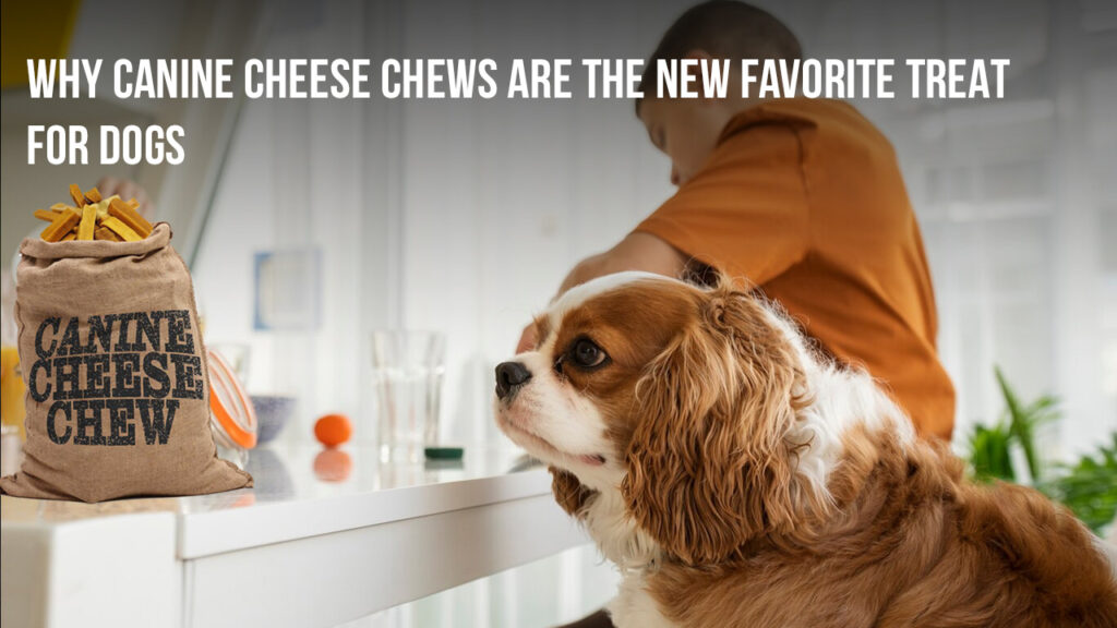 Why Canine Cheese Chews are the New Favorite Treat for Dogs