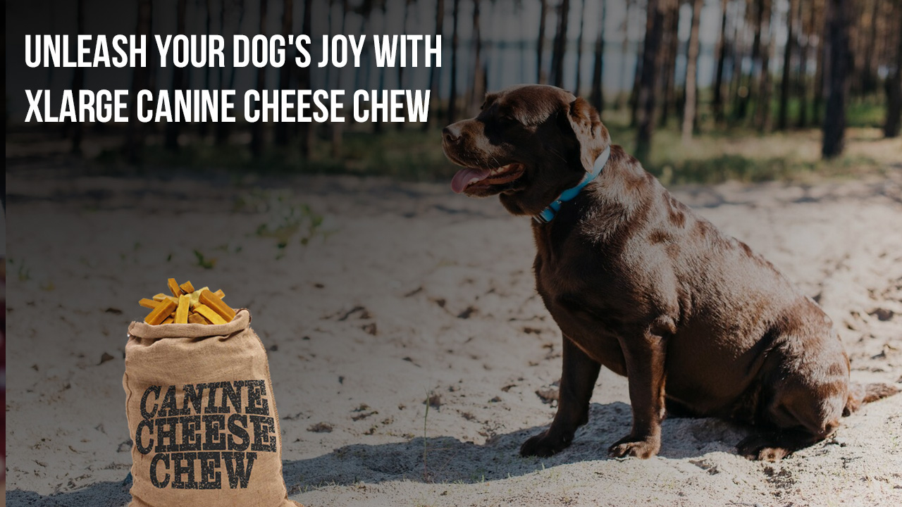 Unleash Your Dog's Joy with Xlarge Canine Cheese Chew - Sansar Pet Supply