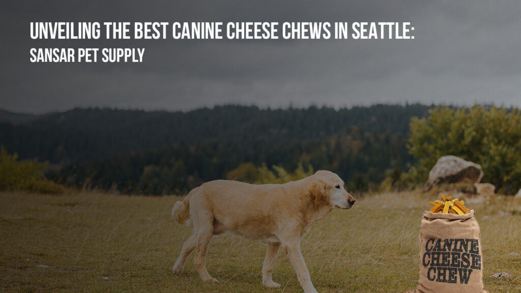 Unveiling the Best Canine Cheese Chews in Seattle: Sansar Pet Supply