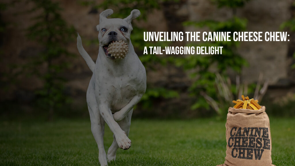 Unveiling the Canine Cheese Chew: A Tail-Wagging Delight